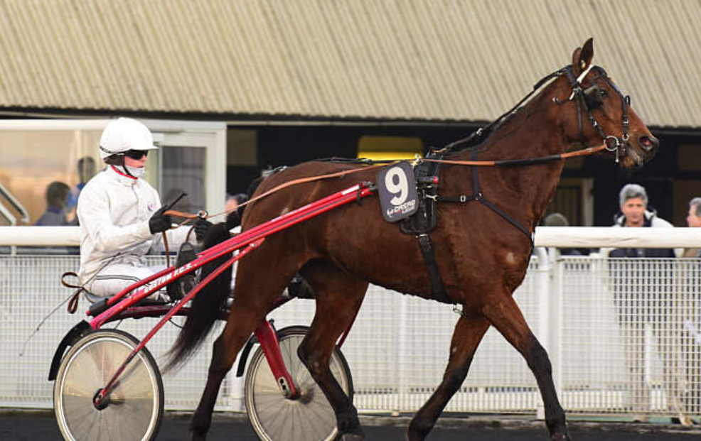 Pronostic gratuit turf || pronosticgratuitturf